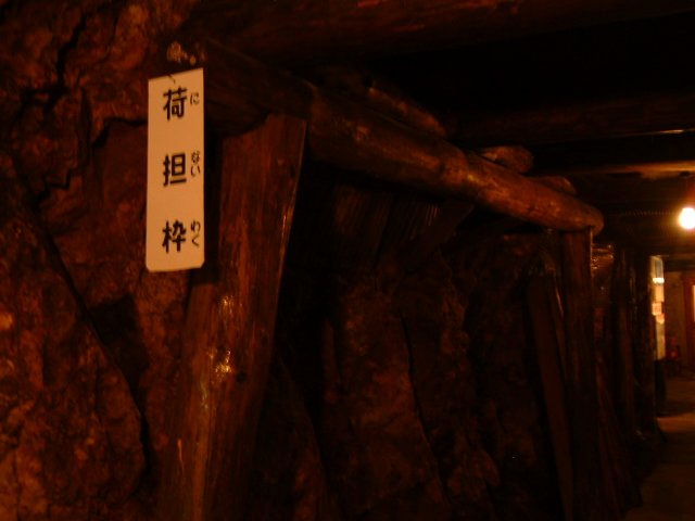 �}�C���p�[�N�E�܂Ƃ��Ȏʐ^1�E�גS�g