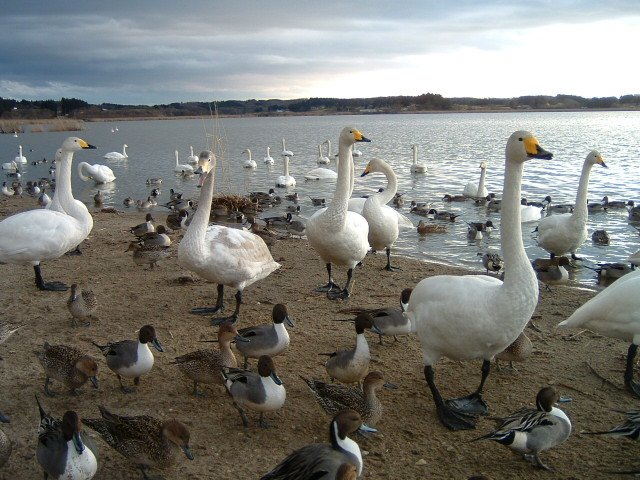 �����̐����E1