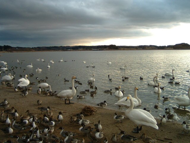 �����̐����E2