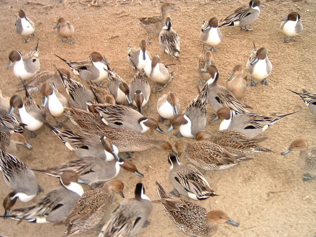 �����̐����E4