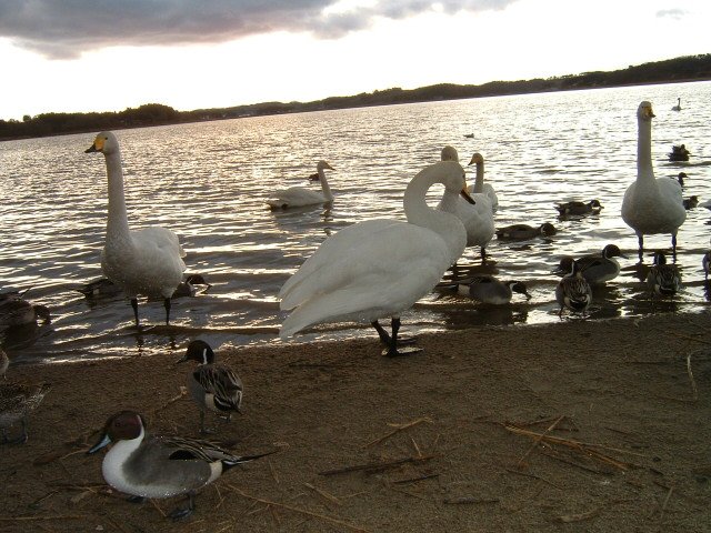 �����̐����E3