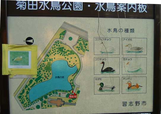 ���������E�����ē��}