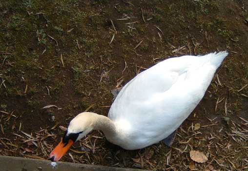 ���������E�n��̔���