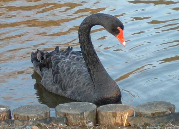 ���������E����