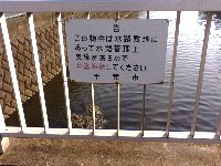 �㔪�⋴�E����1