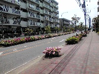 �����{���̂�1