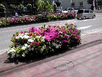 �����{���̂�2