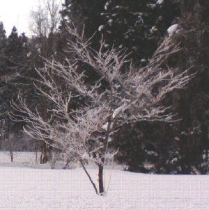 �}����������